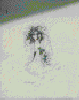Art15.gif - 4033 Bytes