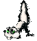a-Skunk.gif - 5921 Bytes