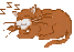a-catsleep.gif - 4994 Bytes