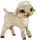 a-lambs.gif - 17409 Bytes