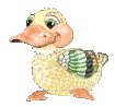 b-Duck.gif - 35260 Bytes