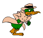 b-duckdet.gif - 6934 Bytes