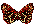 bx-ButterflySmall.gif - 945 Bytes