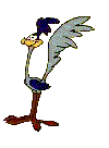 roadrunnerwilecoyote038.gif - 13792 Bytes