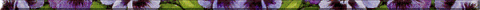 ap-set4bar.gif - 5434 Bytes