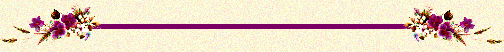 f-flo6bar1.gif - 21593 Bytes