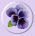 r-set4bul.gif - 1593 Bytes