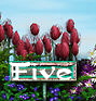 Poetry Five