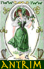 Irish Women of the Web Website