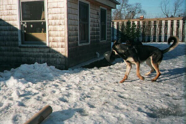 ceasar waiting for jager to catch up