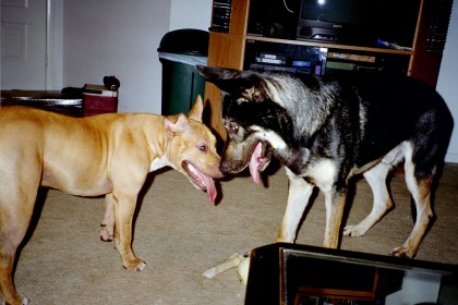 star-crossed lovers
