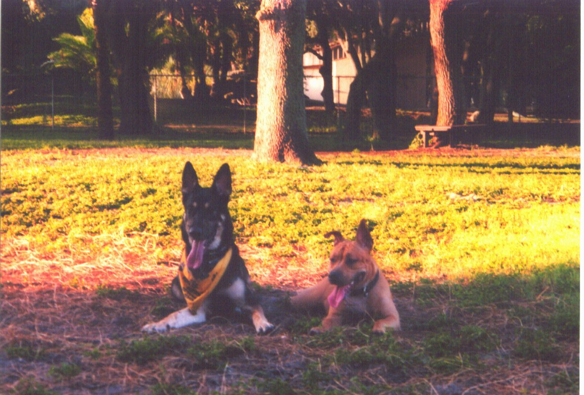 Ceasar & Molly at Happy Tails