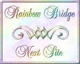 Next Rainbow Bridge
Site