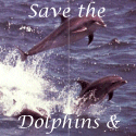 Save
the Dolphin & Whale Webring