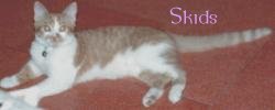 My baby Skids