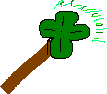pat wand