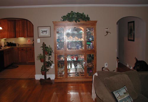 Curio Wall