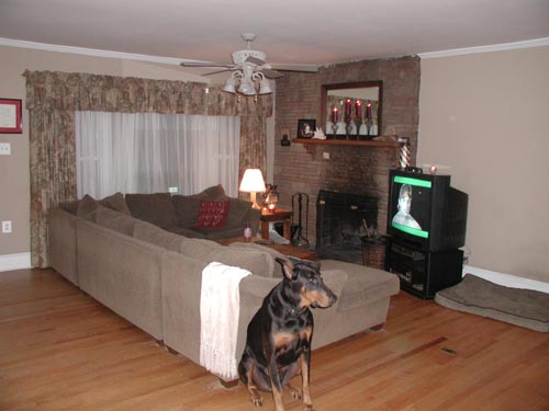 Fireplace View