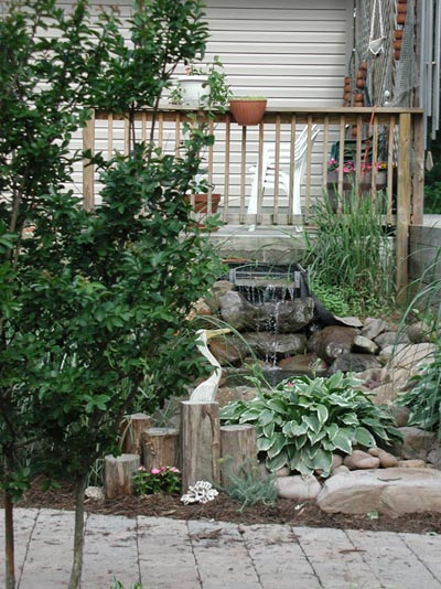 pond_d