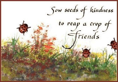 Seeds of Kindness