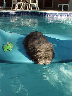 Swimming?