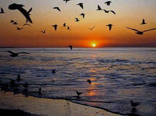 FL Sunset over the Gulf of Mexico
