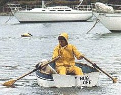Rowing Home