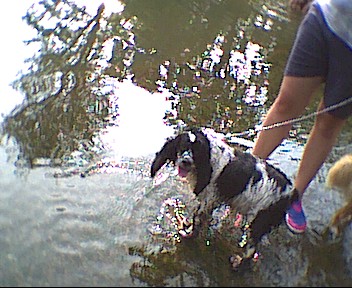 JACKE AT BEAR CREEK
