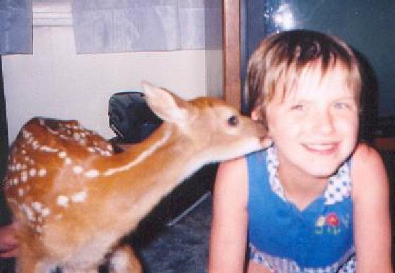 ROSE AND DEER