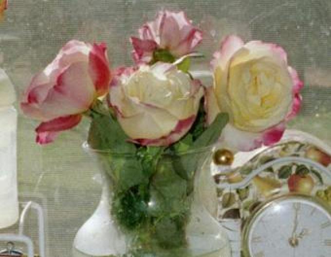 MY ROSES