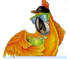 Parrothead