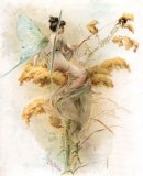 Fairy Sets