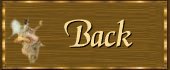 Back Button