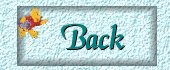 Back Button
