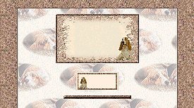 basset hound set