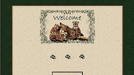 Leopards Set