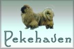 Pekehaven