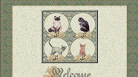 MultiCats Set