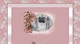 Pekingese Set