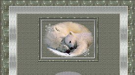 PolarBears Set