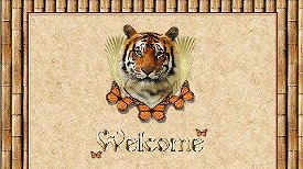 Tiger Set