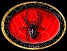 Arachne Symbol