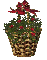 The Site Fights Blooming Baskets