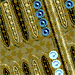 backgammon