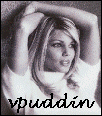vpuddin