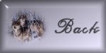 Back to the backgrounds page