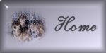 Go to my home page