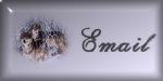 E-mail me