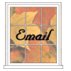 Email me 