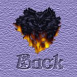 Back to my sets page
